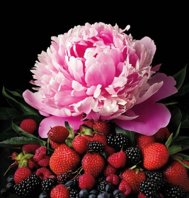 profumo-accordo-fruttato